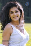 Tapsee High Resolution Stills - 3 of 43