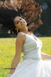 Tapsee High Resolution Stills - 12 of 43