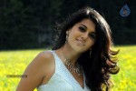 Tapsee High Resolution Stills - 19 of 43