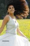 Tapsee High Resolution Stills - 21 of 43