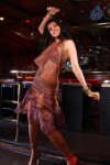 Tapsee Hot Gallery - 45 of 77