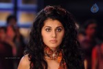 Tapsee Hot Gallery - 6 of 66