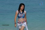Tapsee Hot Gallery - 9 of 66
