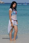Tapsee Hot Gallery - 14 of 66