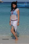 Tapsee Hot Gallery - 15 of 66