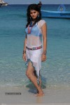 Tapsee Hot Gallery - 16 of 66