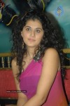 Tapsee Latest Pics - 3 of 49