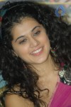 Tapsee Latest Pics - 20 of 49