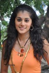 Tapsee Latest Stills - 47 of 52