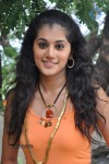 Tapsee Latest Stills - 5 of 52