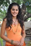 Tapsee Latest Stills - 50 of 52
