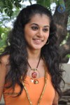 Tapsee Latest Stills - 62 of 52