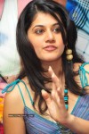 Tapsee New Gallery - 22 of 41