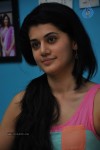 Tapsee New Photos - 19 of 55