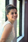 Tapsee New Photos - 21 of 27