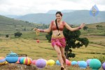 Tapsee Photos - 55 of 98
