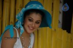 Tapsee Photos - 60 of 98