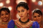 Tapsee Spicy Stills - 46 of 93