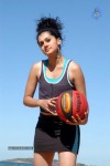 Tapsee Stills in Mr. Perfect Movie - 12 of 62