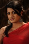 Tashu Kaushik Hot Images - 19 of 48