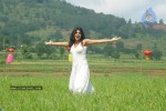 Tashu Kaushik Latest Stills - 49 of 98