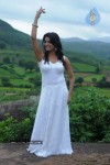 Tashu Kaushik Latest Stills - 73 of 98