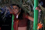 Tashu Kaushik New Pics - 51 of 68