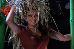 Tashu Kaushik New Pics - 53 of 68