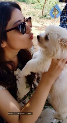 Taxiwala Fame Priyanka Jawalkar Cute Pics - 1 of 9