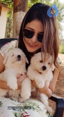 Taxiwala Fame Priyanka Jawalkar Cute Pics - 2 of 9