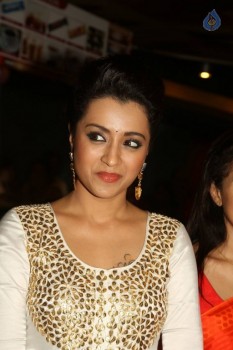 Trisha at Cheekati Rajyam Premiere Show - 20 of 23