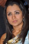 Trisha at Dammu Movie Audio Launch - 40 of 48