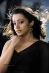 Trisha Hot Gallery - 51 of 83