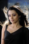 Trisha Hot Gallery - 62 of 83