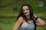 Trisha Latest Stills In Namo Venkatesa - 13 of 64