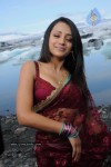 Trisha Latest Stills In Namo Venkatesa - 15 of 64