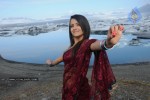 Trisha Latest Stills In Namo Venkatesa - 20 of 64