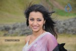 Trisha Latest Stills In Namo Venkatesa - 46 of 64