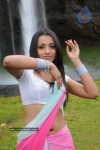 Trisha Latest Stills In Namo Venkatesa - 57 of 64