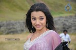 Trisha Latest Stills In Namo Venkatesa - 64 of 64