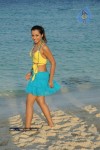 Trisha New Gallery - 85 of 175