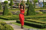 Trisha New Gallery - 92 of 175