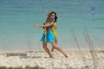 Trisha New Gallery - 94 of 175