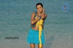 Trisha New Gallery - 12 of 175