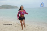 Trisha New Gallery - 15 of 175