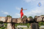 Trisha New Gallery - 100 of 175