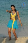 Trisha New Gallery - 101 of 175