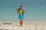 Trisha New Gallery - 102 of 175