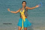 Trisha New Gallery - 103 of 175
