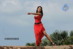 Trisha New Gallery - 104 of 175